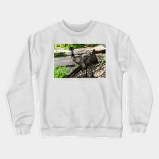 Emu Crewneck Sweatshirt